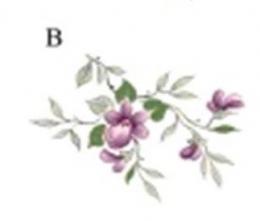 Scatter Violets　 S3433