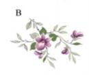 Scatter Violets　 S3433