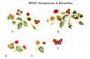 Strawberry & Butterfly Set(旧バージョン) RP291