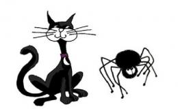 黒猫とスパイダー　　2セット