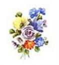 Bohemian  10443