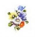 Bohemian  10443