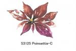 Poinsettia-C
