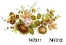 JM　Nut　 Harvest　12351