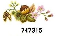 Nut　 Harvest　12351