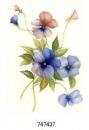 JM　Pansies