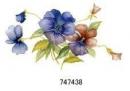 JM　Pansies