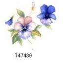 JM　Pansies