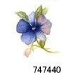 JM　Pansies