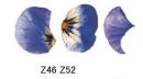 Pansy　　A57345