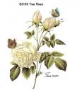 Tea Rose