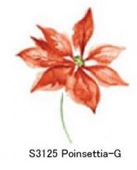 Poinsettia-G