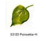 Poinsettia　　Reef