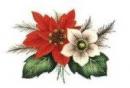 Poinsettia　50mm　4こ