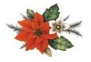 Poinsettia　90mm
