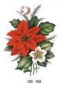 Poinsettia