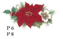 2P　Poinsettia　
