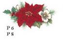 2P　Poinsettia　