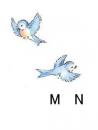 Dreamland　青い鳥　M/N　2種×5こ　20こ