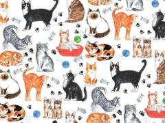 Cats