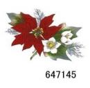 JM  Poinsettia