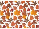 Autumn-Leaf