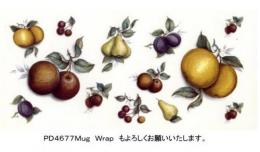 Summer Fruits Assortment　　A/B/C/Mug