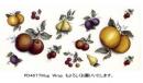 Summer Fruits Assortment　　A/B/C/Mug