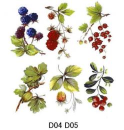 Berries　　6種　4/5