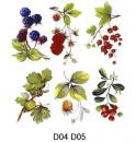 Berries　　6種　4/5