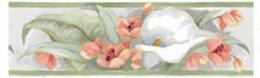 Paradise Lily 　　AG55869