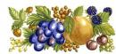 JM　Fruits Harvest　12336
