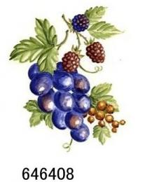 JM　Fruits Harvest
