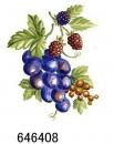 JM　Fruits Harvest