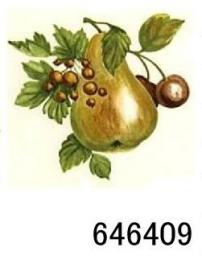 JM　Fruits Harvest　12336