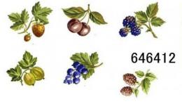 JM　Fruits Harvest　　12336