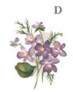 Sweet Violets　　6486