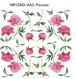 Pionies