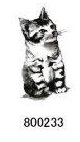 Cats　パーフェクトシリーズ  子猫ちゃん
