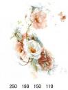 Claire  8933