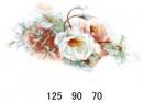 Claire 8933