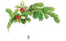 Holly　3こ