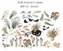 Autumn In Japan　　　9105
