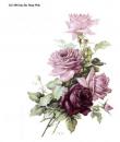 San Do  Rose  Pink    OLY194