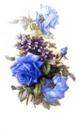 San Do Rose  Blue  OLY190