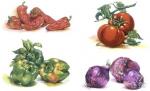 　Vegetables　