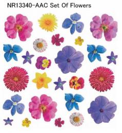 Set Of Flower