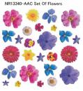 Set Of Flower
