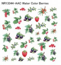Water Color Berries