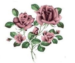 JM　 Rose　12367